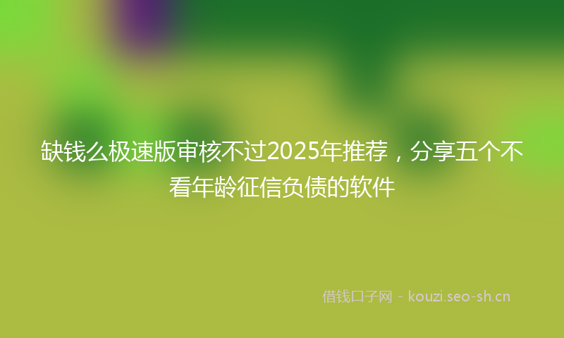 缺钱么极速版审核不过2025年推荐，分享五个不看年龄征信负债的软件