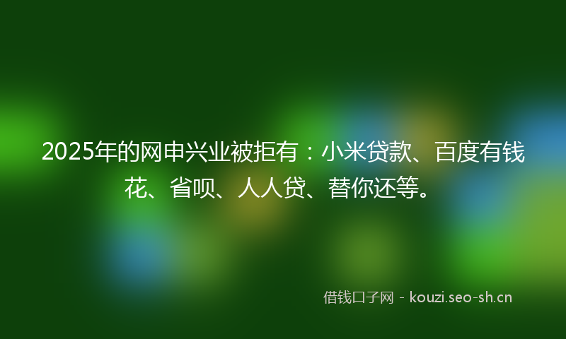 2025年的网申兴业被拒有：小米贷款、百度有钱花、省呗、人人贷、替你还等。