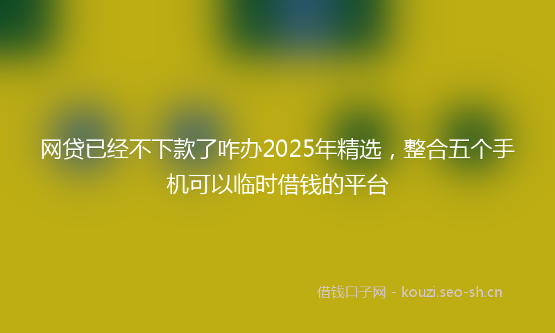 网贷已经不下款了咋办2025年精选，整合五个手机可以临时借钱的平台