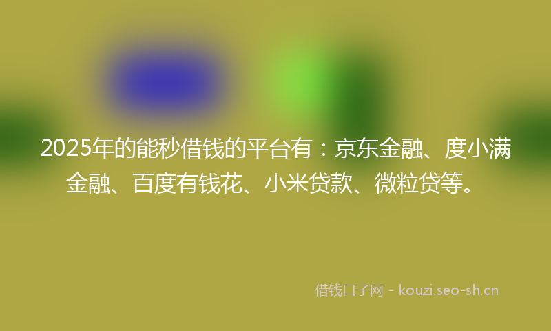 2025年的能秒借钱的平台有：京东金融、度小满金融、百度有钱花、小米贷款、微粒贷等。