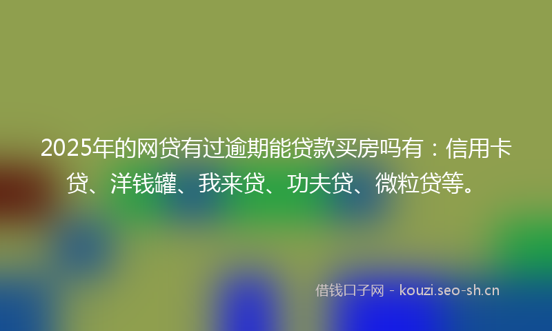 2025年的网贷有过逾期能贷款买房吗有：信用卡贷、洋钱罐、我来贷、功夫贷、微粒贷等。