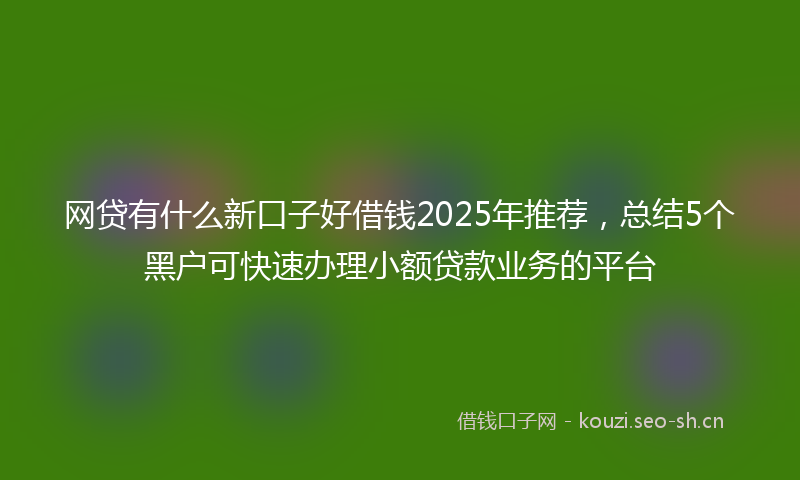网贷有什么新口子好借钱2025年推荐，总结5个黑户可快速办理小额贷款业务的平台