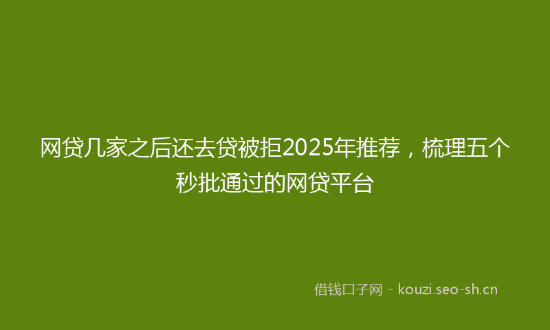 网贷几家之后还去贷被拒2025年推荐,梳理五个秒批通过的网贷平台