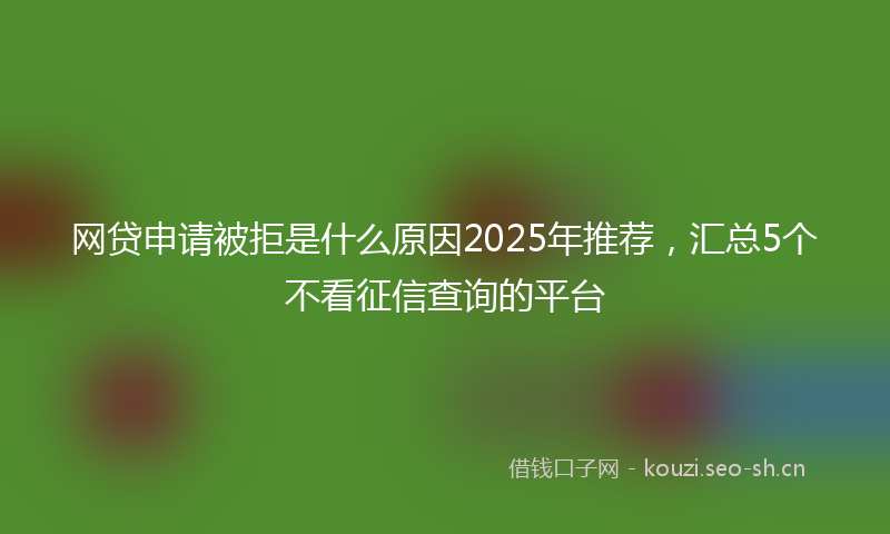 网贷申请被拒是什么原因2025年推荐，汇总5个不看征信查询的平台
