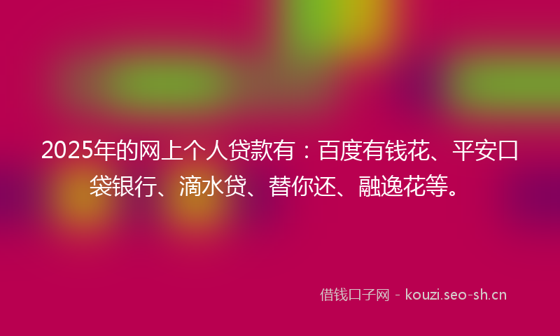 2025年的网上个人贷款有：百度有钱花、平安口袋银行、滴水贷、替你还、融逸花等。