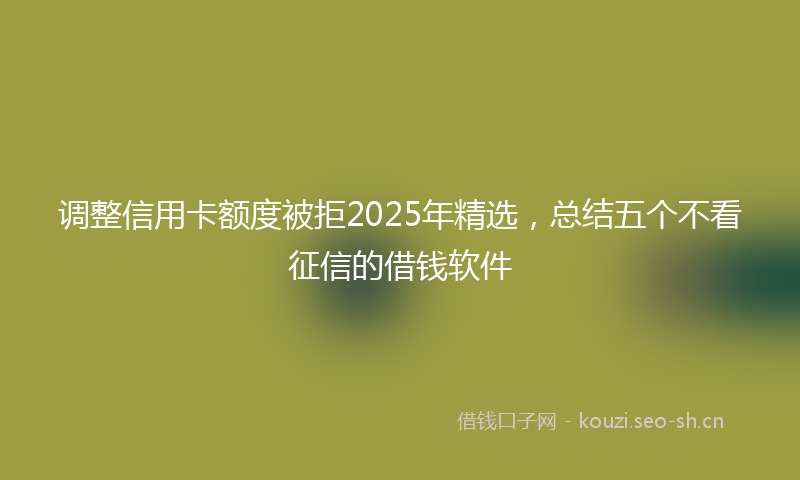 调整信用卡额度被拒2025年精选，总结五个不看征信的借钱软件