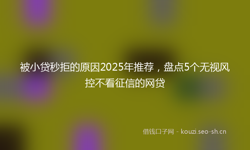 被小贷秒拒的原因2025年推荐，盘点5个无视风控不看征信的网贷