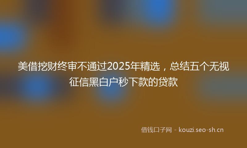 美借挖财终审不通过2025年精选,总结五个无视征信黑白户秒下款的贷款