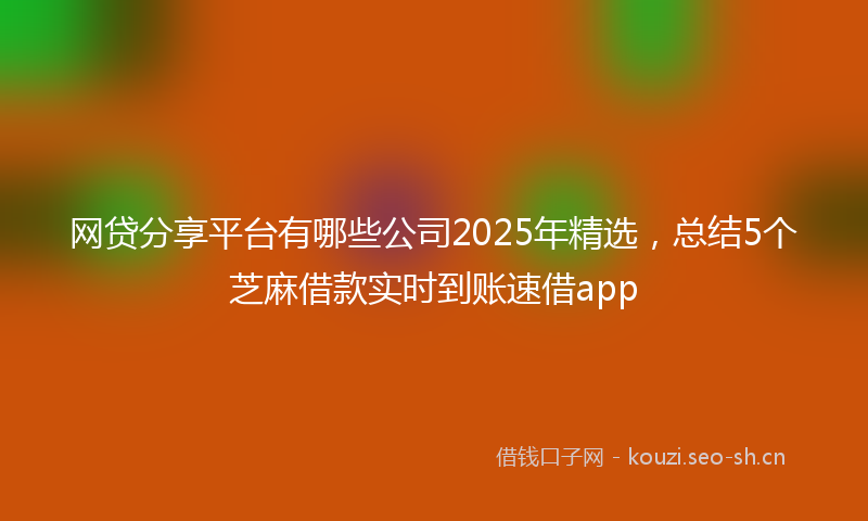 网贷分享平台有哪些公司2025年精选，总结5个芝麻借款实时到账速借app