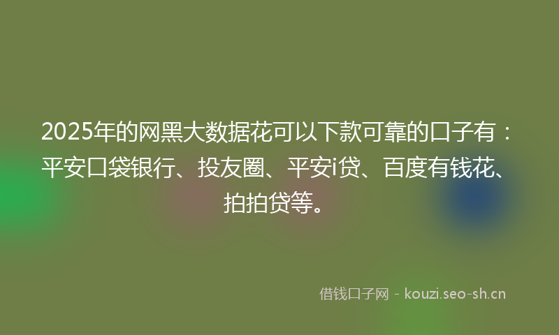 2025年的网黑大数据花可以下款可靠的口子有：平安口袋银行、投友圈、平安i贷、百度有钱花、拍拍贷等。