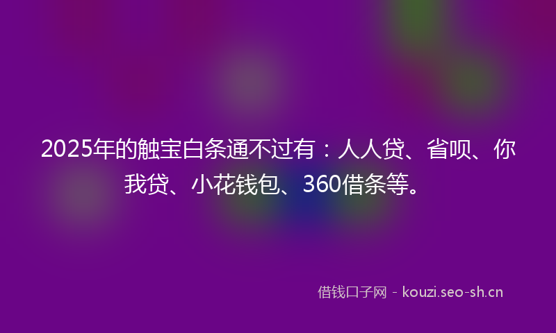 2025年的触宝白条通不过有：人人贷、省呗、你我贷、小花钱包、360借条等。