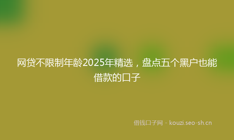 网贷不限制年龄2025年精选，盘点五个黑户也能借款的口子