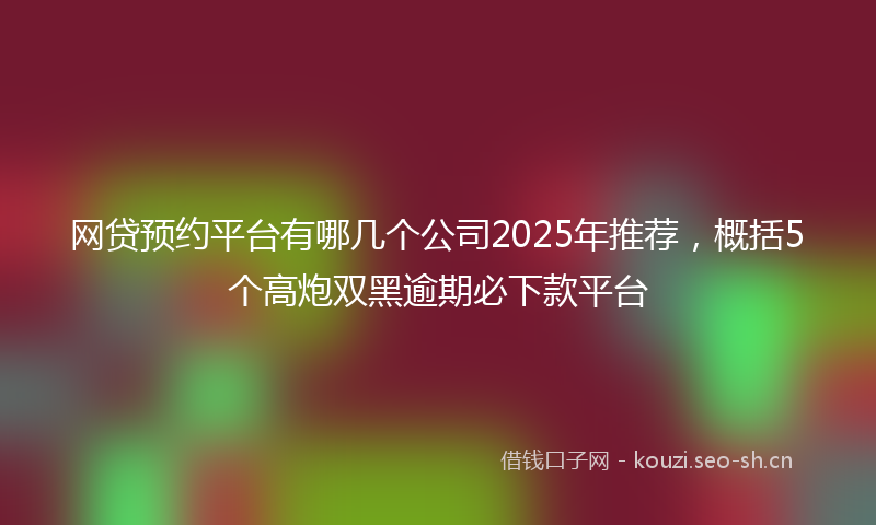 网贷预约平台有哪几个公司2025年推荐，概括5个高炮双黑逾期必下款平台
