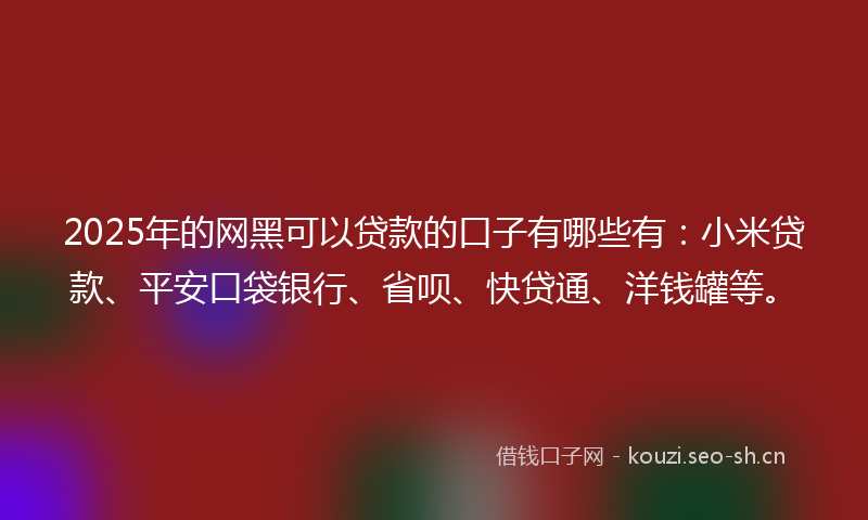 2025年的网黑可以贷款的口子有哪些有：小米贷款、平安口袋银行、省呗、快贷通、洋钱罐等。