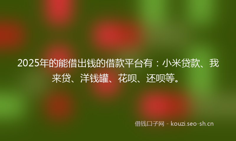 2025年的能借出钱的借款平台有：小米贷款、我来贷、洋钱罐、花呗、还呗等。