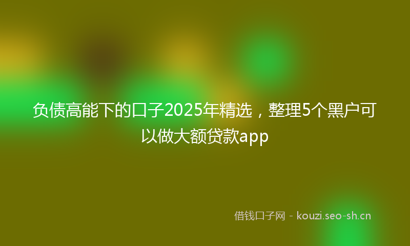 负债高能下的口子2025年精选，整理5个黑户可以做大额贷款app