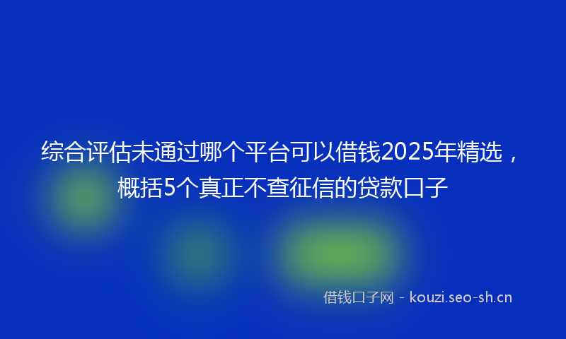 综合评估未通过哪个平台可以借钱2025年精选，概括5个真正不查征信的贷款口子