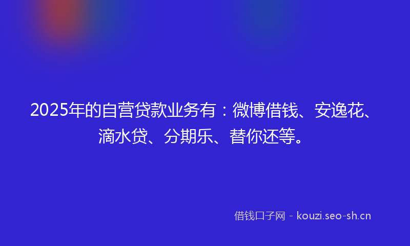 2025年的自营贷款业务有：微博借钱、安逸花、滴水贷、分期乐、替你还等。