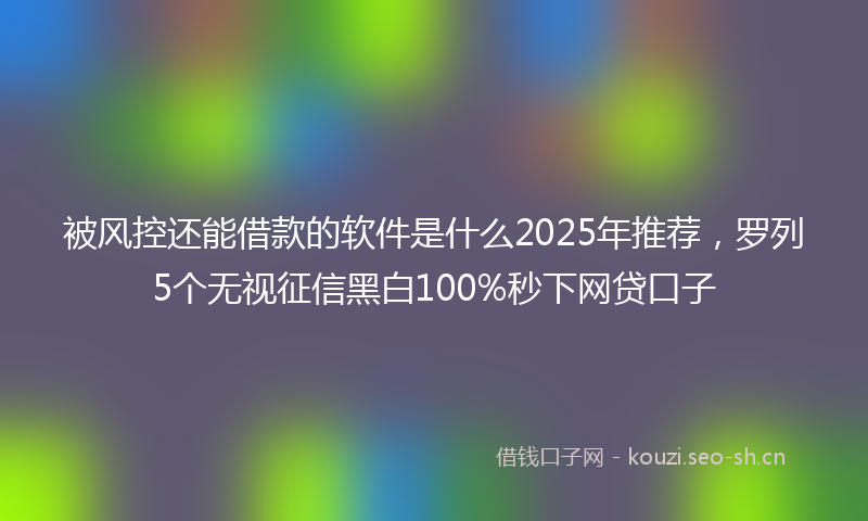 被风控还能借款的软件是什么2025年推荐，罗列5个无视征信黑白100%秒下网贷口子