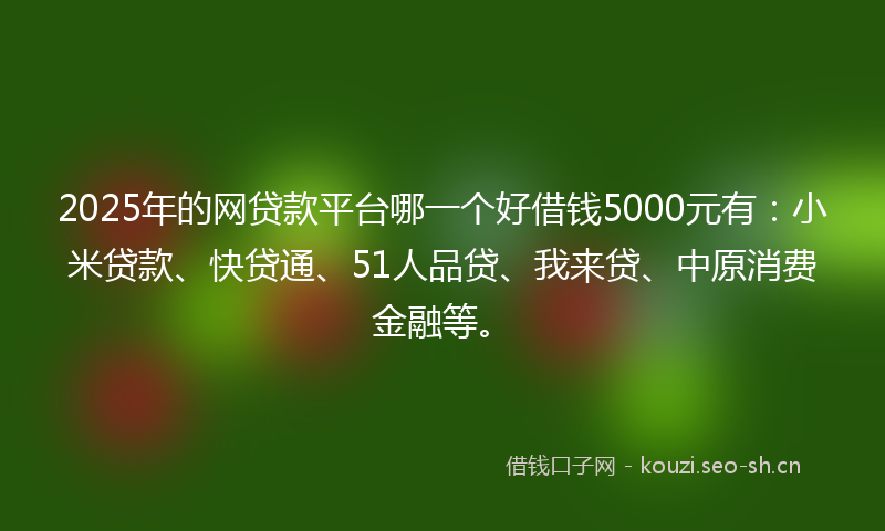 2025年的网贷款平台哪一个好借钱5000元有：小米贷款、快贷通、51人品贷、我来贷、中原消费金融等。