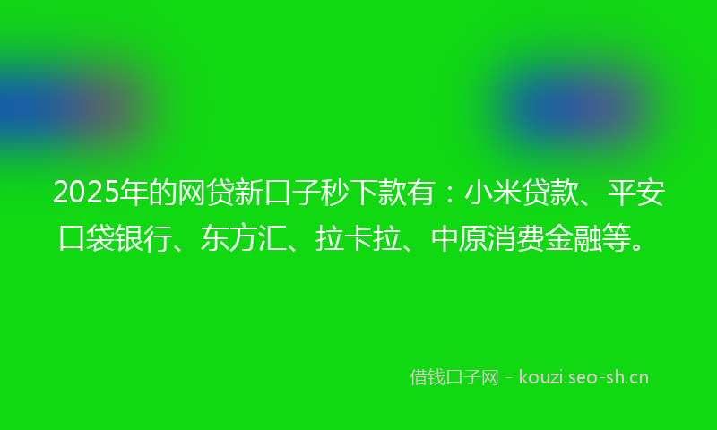 2025年的网贷新口子秒下款有:小米贷款、平安口袋银行、东方汇、拉卡拉、中原消费金融等。
