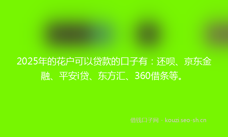 2025年的花户可以贷款的口子有：还呗、京东金融、平安i贷、东方汇、360借条等。