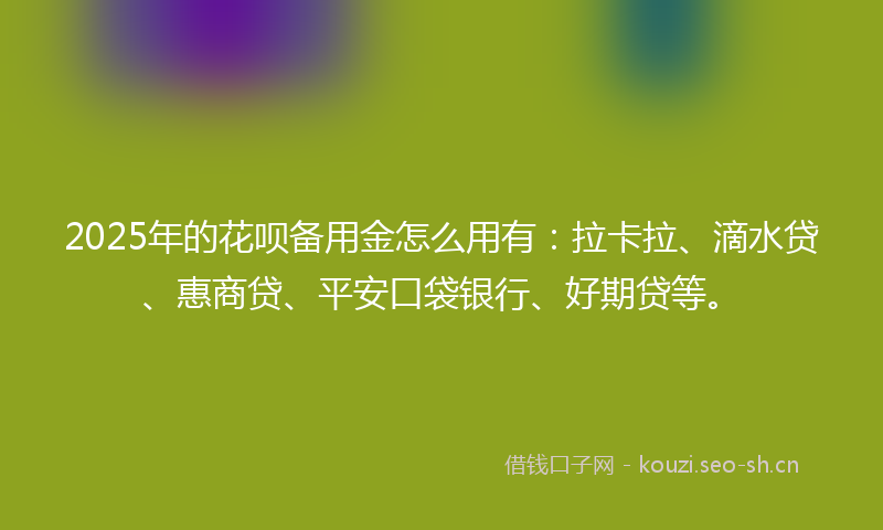 2025年的花呗备用金怎么用有：拉卡拉、滴水贷、惠商贷、平安口袋银行、好期贷等。