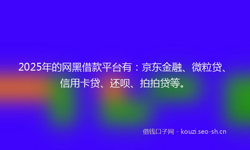 2025年的网黑借款平台有：京东金融、微粒贷、信用卡贷、还呗、拍拍贷等。