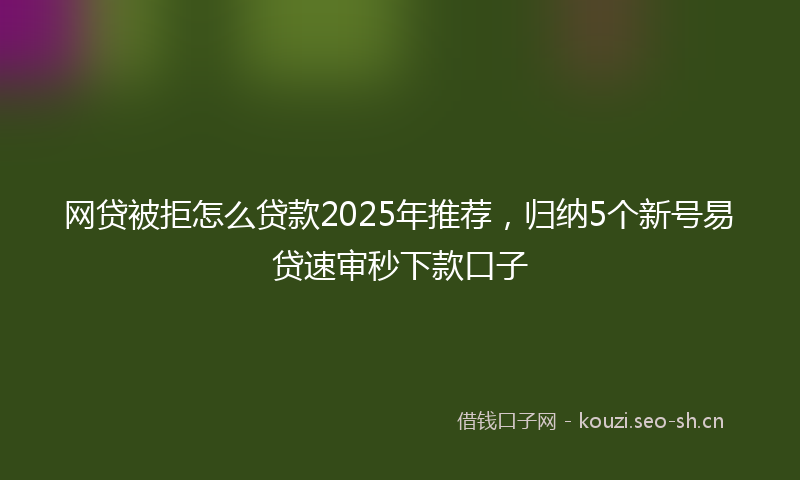 网贷被拒怎么贷款2025年推荐，归纳5个新号易贷速审秒下款口子