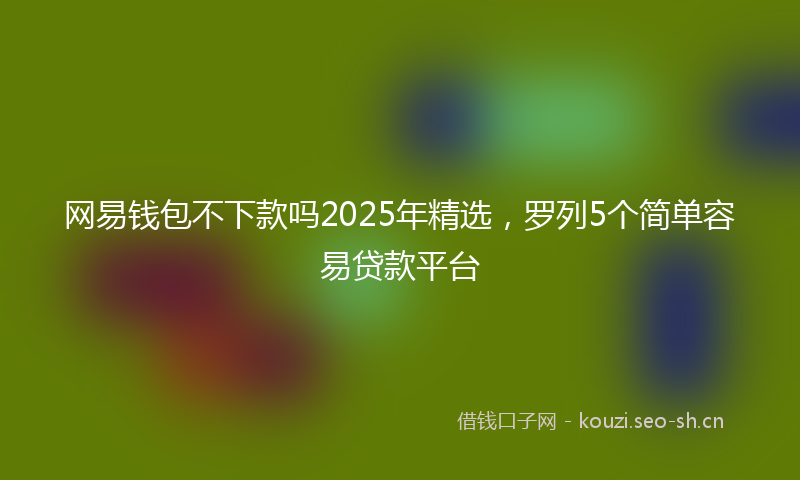 网易钱包不下款吗2025年精选，罗列5个简单容易贷款平台