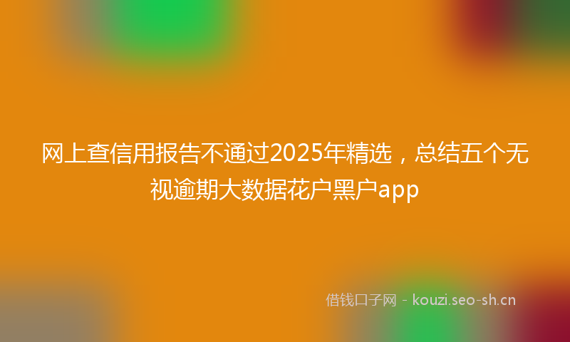 网上查信用报告不通过2025年精选，总结五个无视逾期大数据花户黑户app