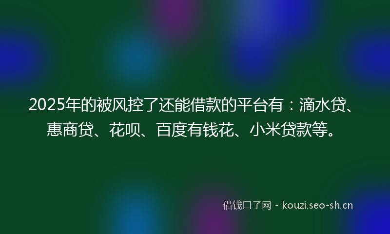2025年的被风控了还能借款的平台有：滴水贷、惠商贷、花呗、百度有钱花、小米贷款等。