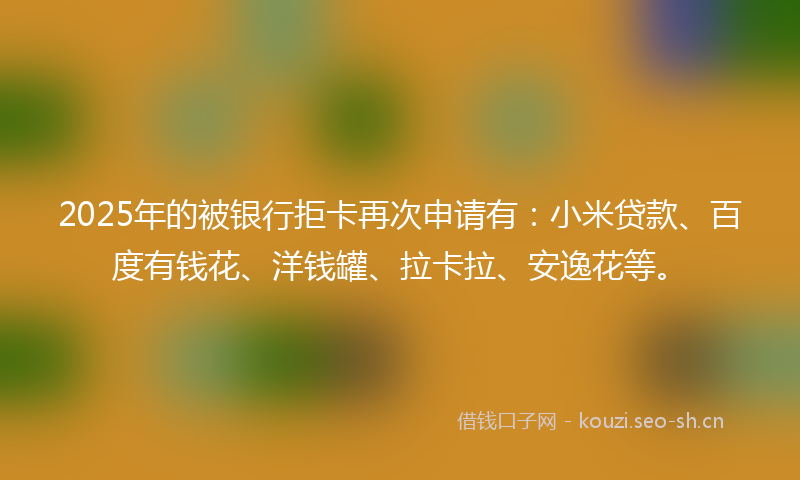 2025年的被银行拒卡再次申请有：小米贷款、百度有钱花、洋钱罐、拉卡拉、安逸花等。