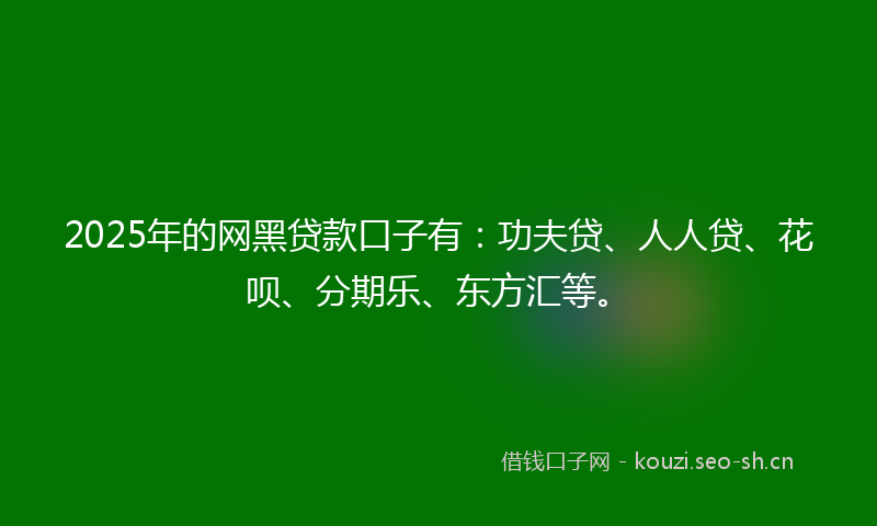2025年的网黑贷款口子有：功夫贷、人人贷、花呗、分期乐、东方汇等。