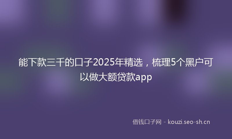 能下款三千的口子2025年精选,梳理5个黑户可以做大额贷款app