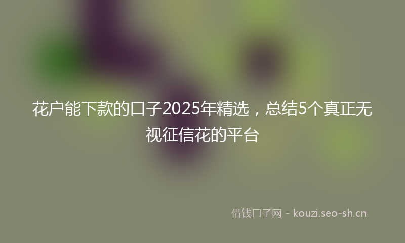 花户能下款的口子2025年精选，总结5个真正无视征信花的平台