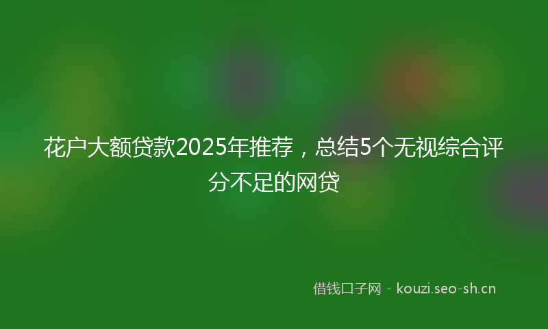 花户大额贷款2025年推荐，总结5个无视综合评分不足的网贷
