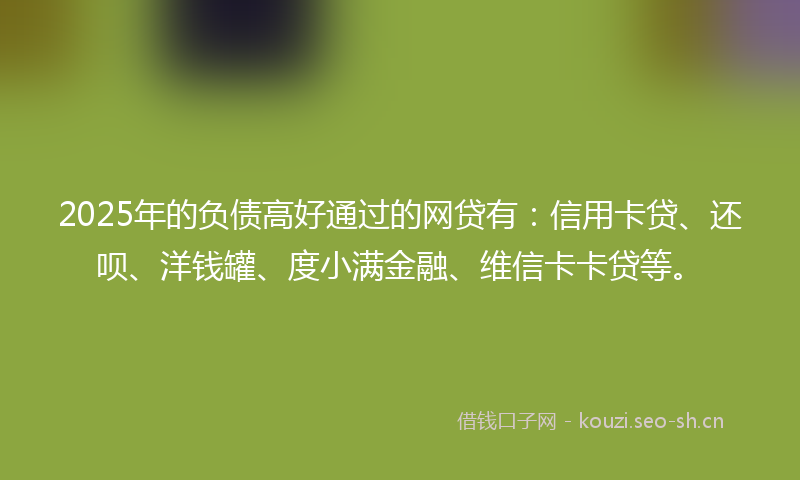 2025年的负债高好通过的网贷有：信用卡贷、还呗、洋钱罐、度小满金融、维信卡卡贷等。