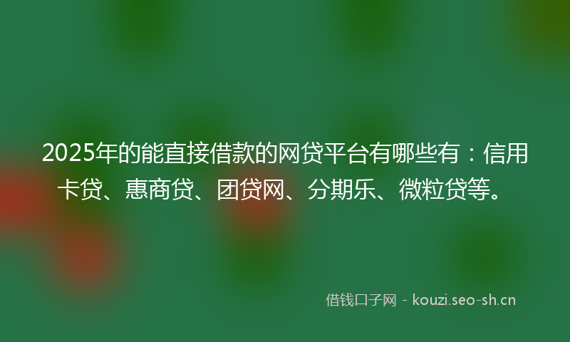 2025年的能直接借款的网贷平台有哪些有：信用卡贷、惠商贷、团贷网、分期乐、微粒贷等。