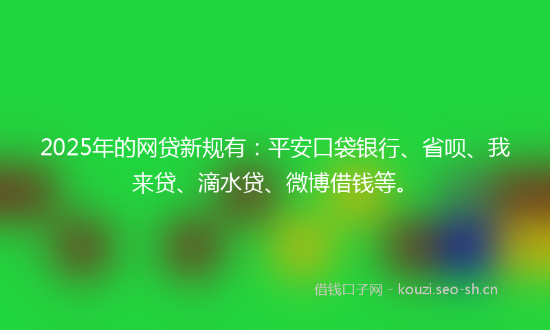 2025年的网贷新规有：平安口袋银行、省呗、我来贷、滴水贷、微博借钱等。