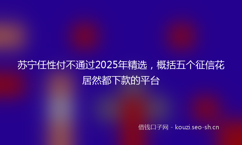 苏宁任性付不通过2025年精选，概括五个征信花居然都下款的平台
