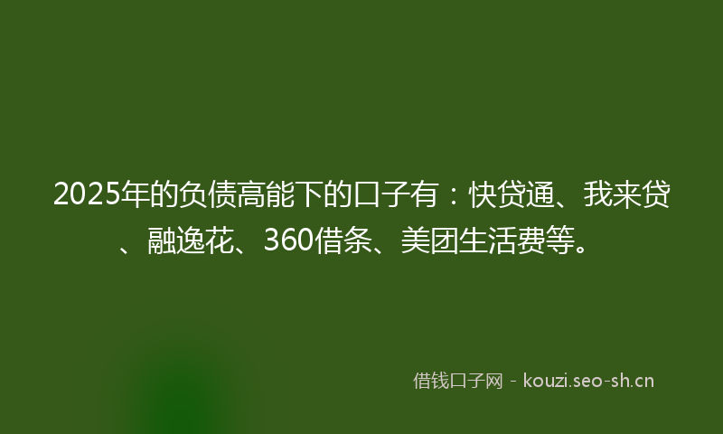 2025年的负债高能下的口子有：快贷通、我来贷、融逸花、360借条、美团生活费等。