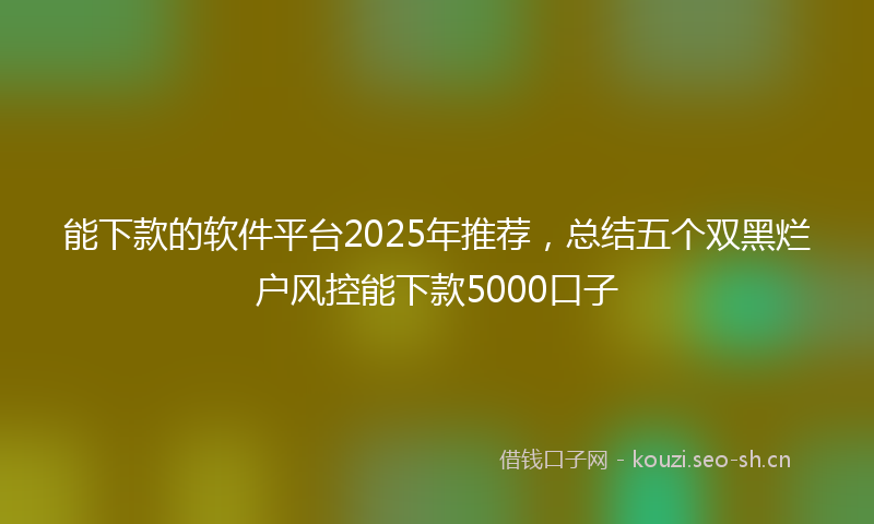 能下款的软件平台2025年推荐，总结五个双黑烂户风控能下款5000口子
