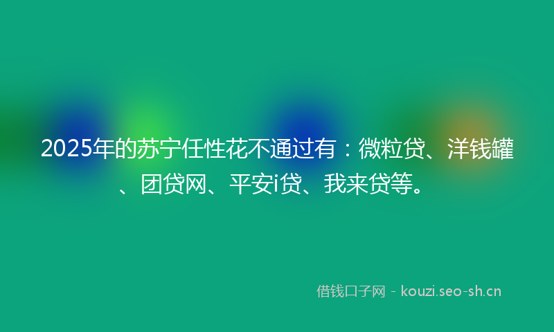 2025年的苏宁任性花不通过有：微粒贷、洋钱罐、团贷网、平安i贷、我来贷等。