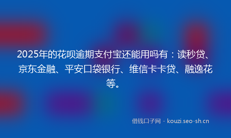 2025年的花呗逾期支付宝还能用吗有：读秒贷、京东金融、平安口袋银行、维信卡卡贷、融逸花等。