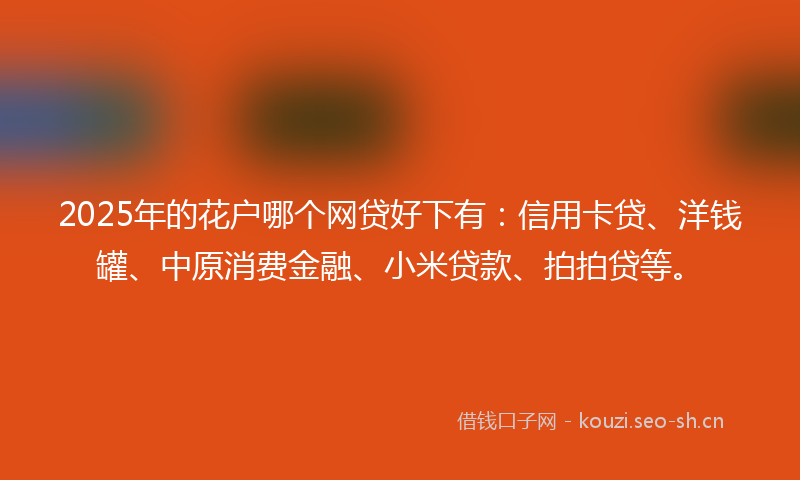 2025年的花户哪个网贷好下有：信用卡贷、洋钱罐、中原消费金融、小米贷款、拍拍贷等。