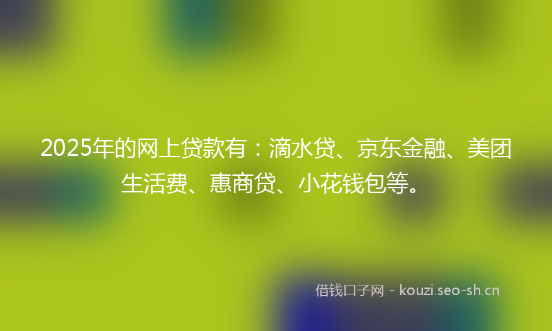 2025年的网上贷款有：滴水贷、京东金融、美团生活费、惠商贷、小花钱包等。