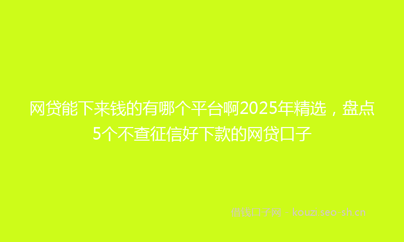 网贷能下来钱的有哪个平台啊2025年精选，盘点5个不查征信好下款的网贷口子