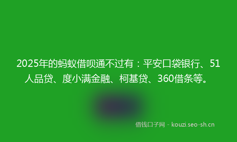 2025年的蚂蚁借呗通不过有：平安口袋银行、51人品贷、度小满金融、柯基贷、360借条等。