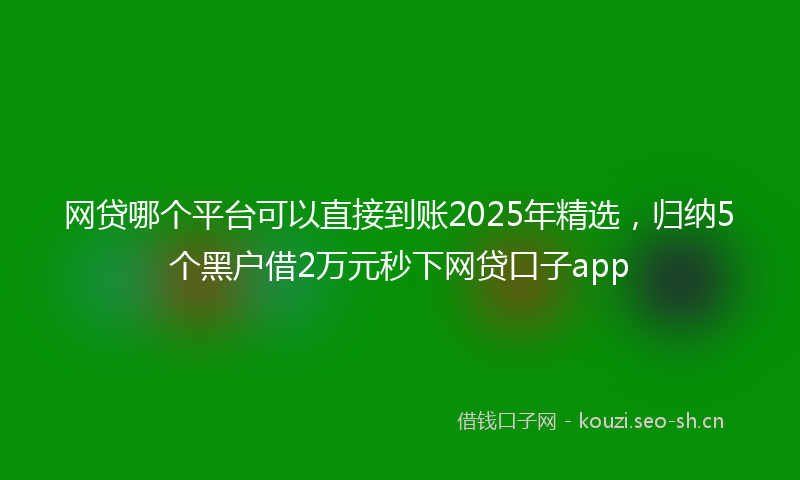 网贷哪个平台可以直接到账2025年精选，归纳5个黑户借2万元秒下网贷口子app